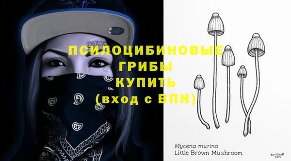 каннабис Абаза